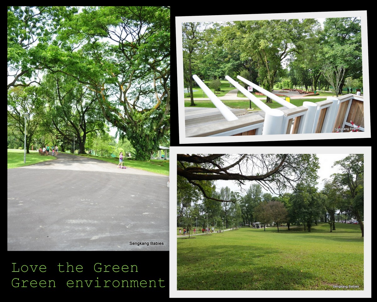 where is Sembawang Playground, greenery around Sembawang park
