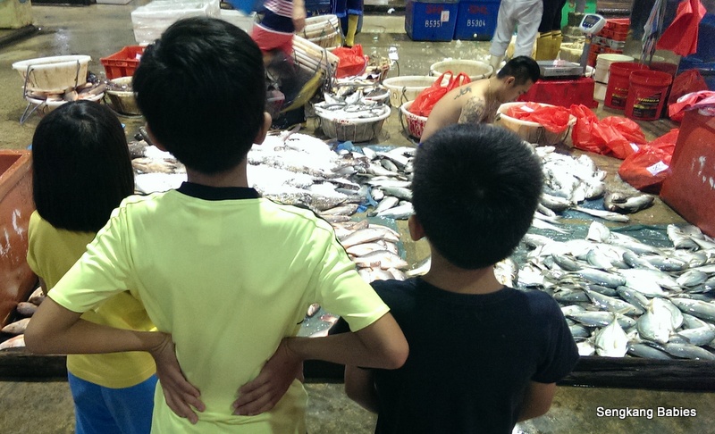 Jurong Fishery Port With Kids Sengkang Babies