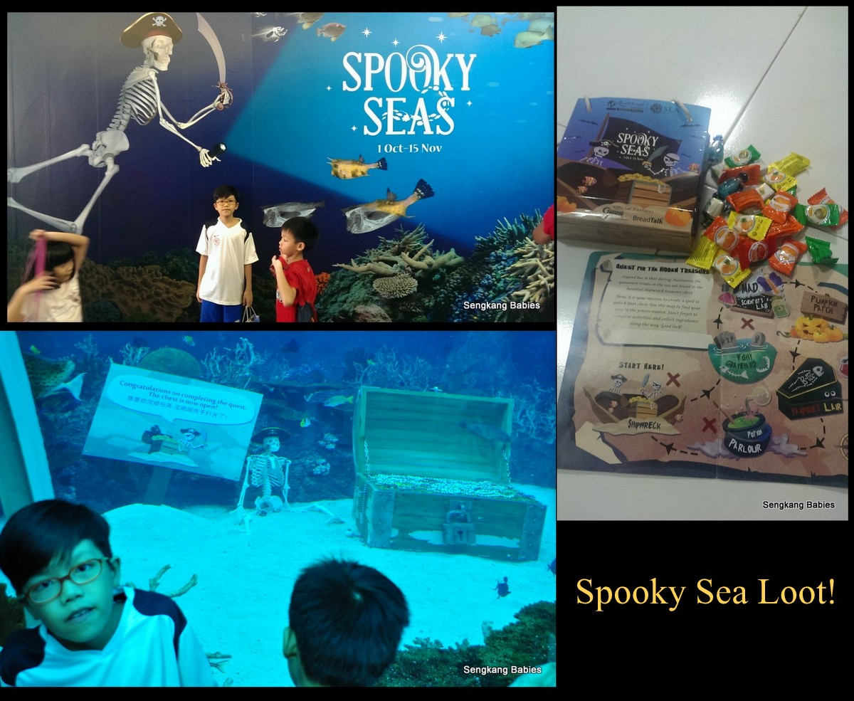 Sea Aquarium spooky sea