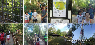 Bukit Timah Hill photos