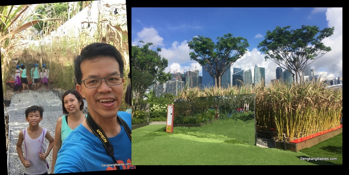 20160724 singapore garden festival