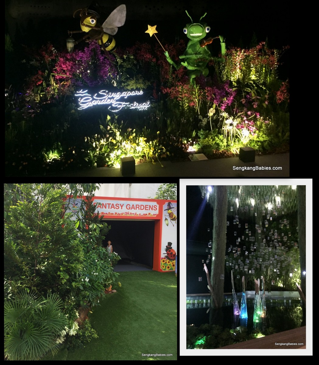 20160724 singapore garden festival12