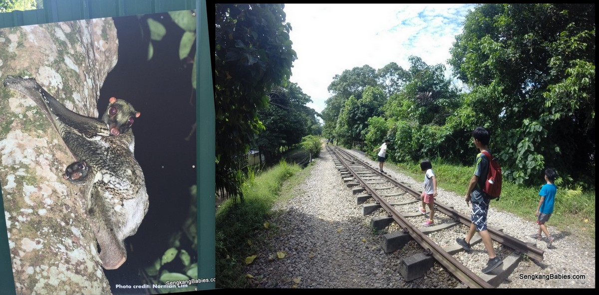 20160403 bukit timah hill exported10