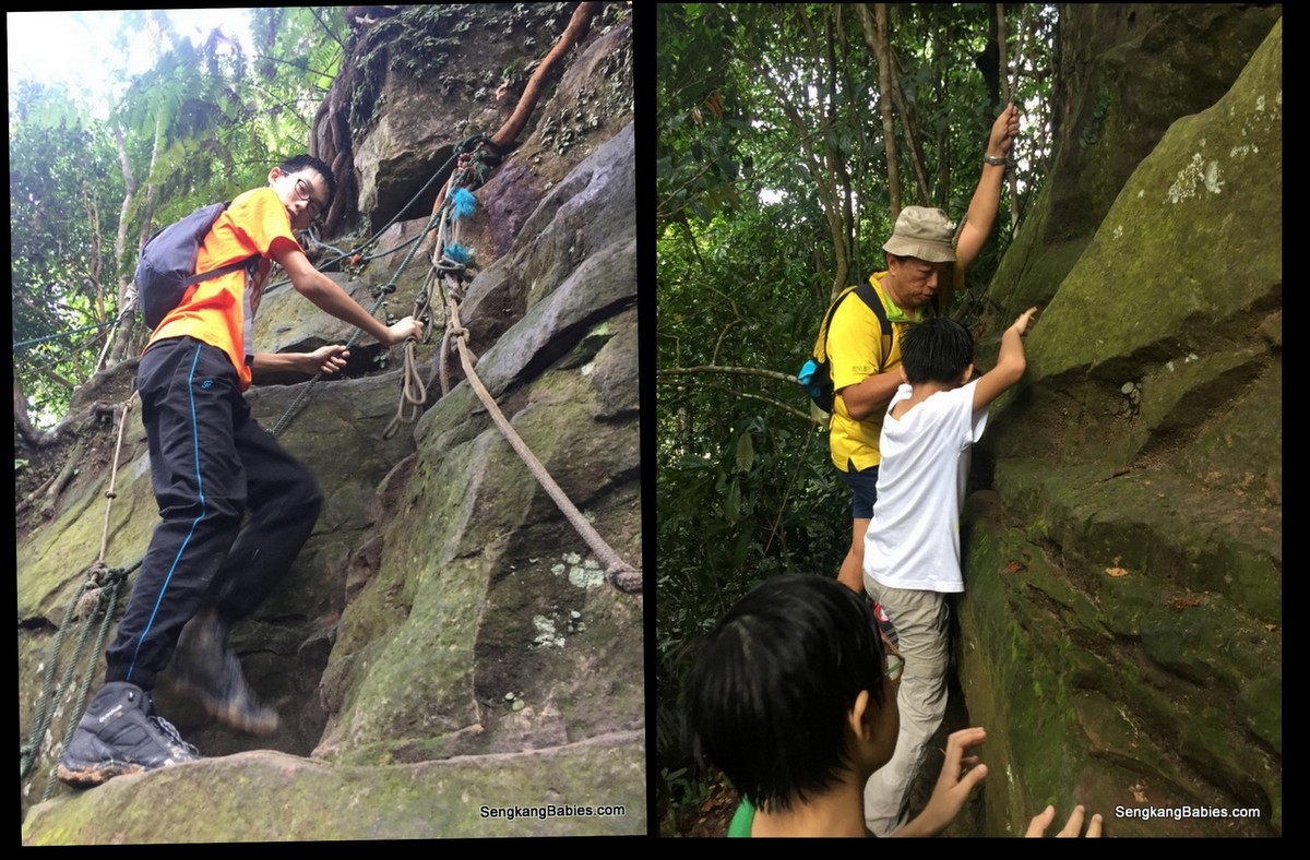 20160612 hike Gunung Panti7