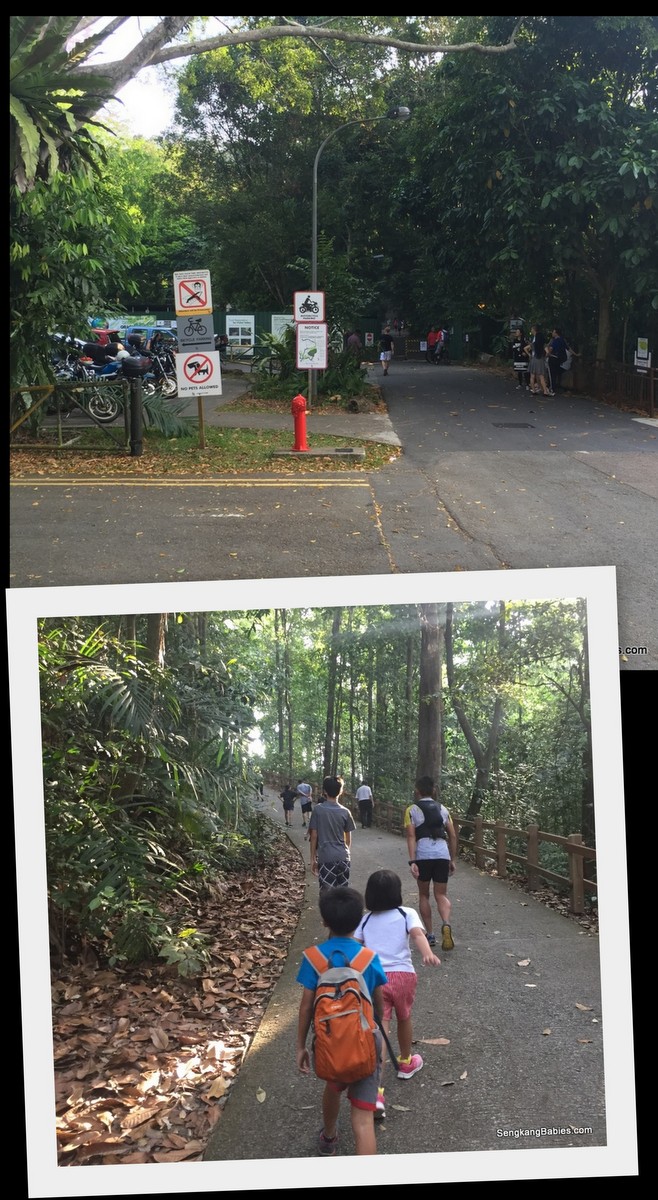 bukit timah hill photos