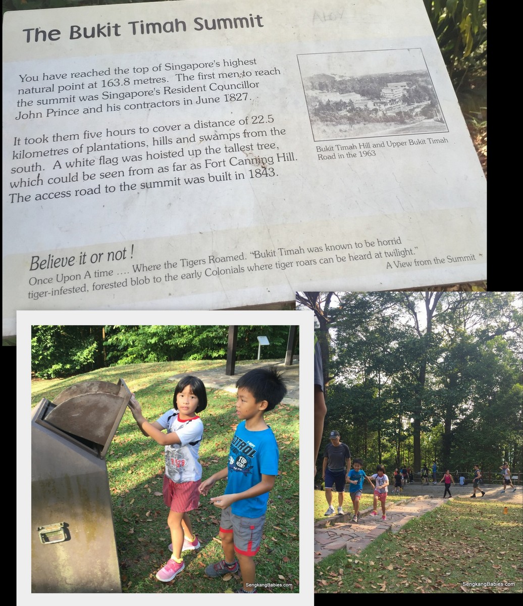 bukit timah hill summit