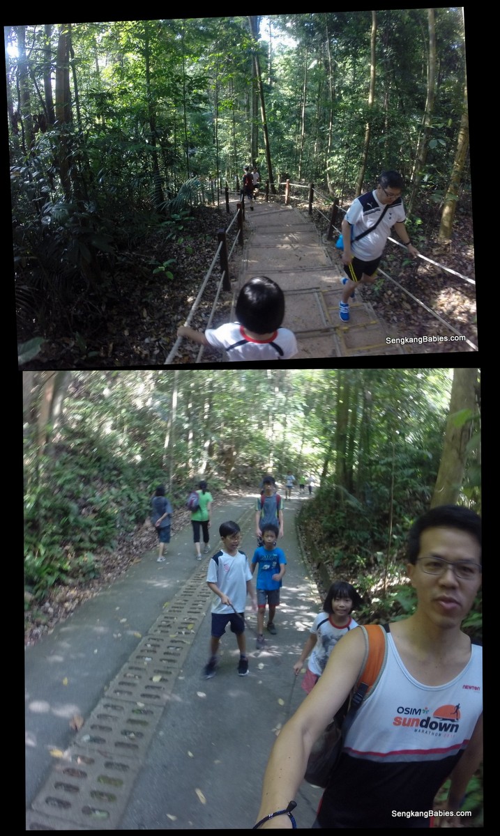 bukit timah hill with family