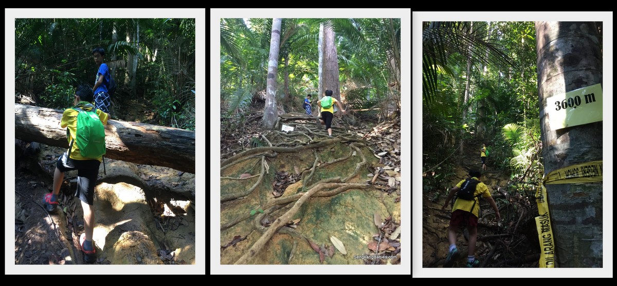 Gunung Belumut checkpoints