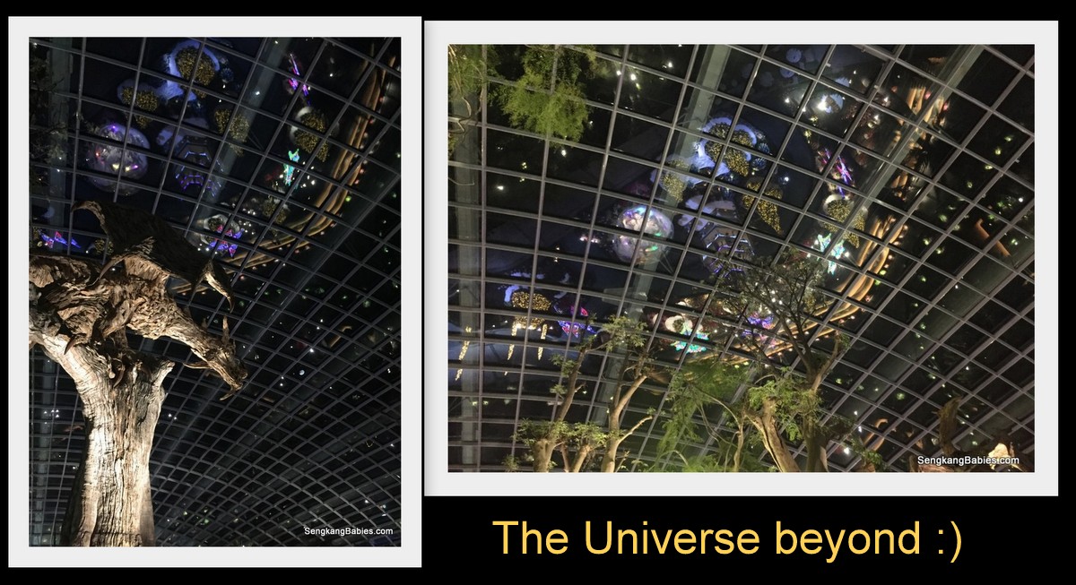 night-photos-flower-dome