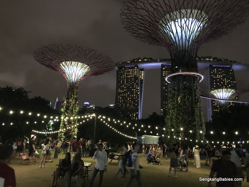 Christmas at Gardens By the Bay