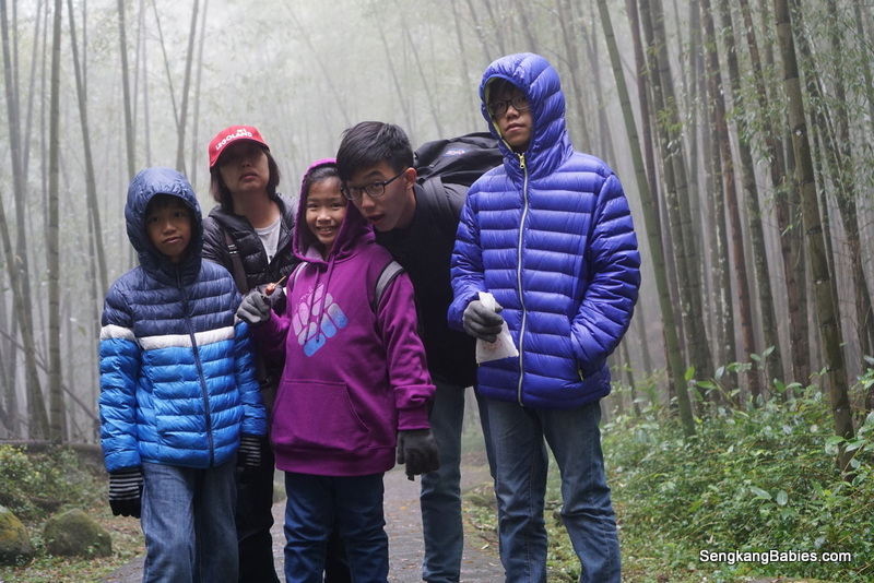 Xitou Nature Education Area
