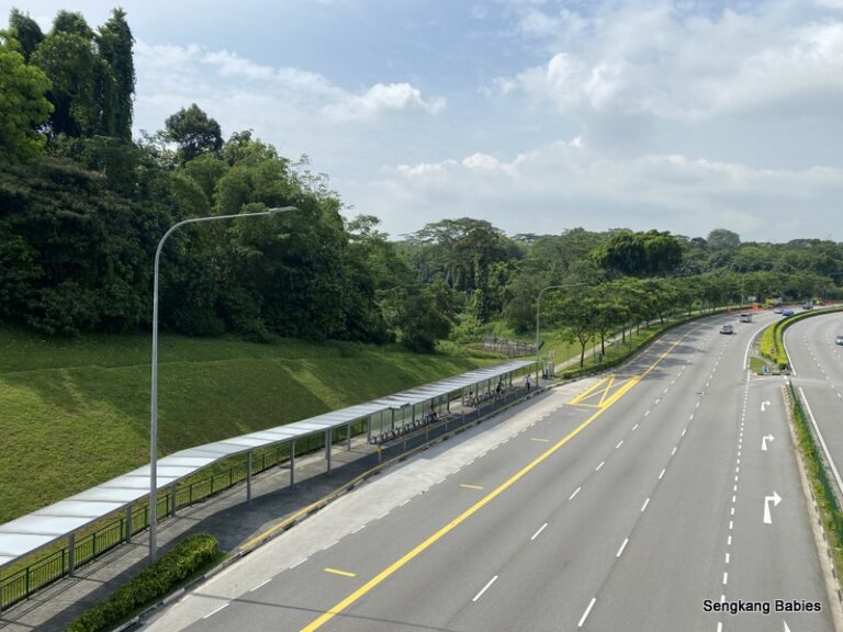 Clementi Forest to sunset way Archives - Sengkang Babies