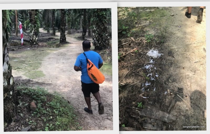Malaysia Hiking trail markers 