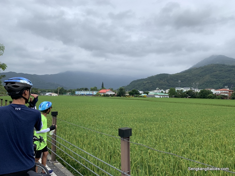 Cycling Hualien to Ruisui